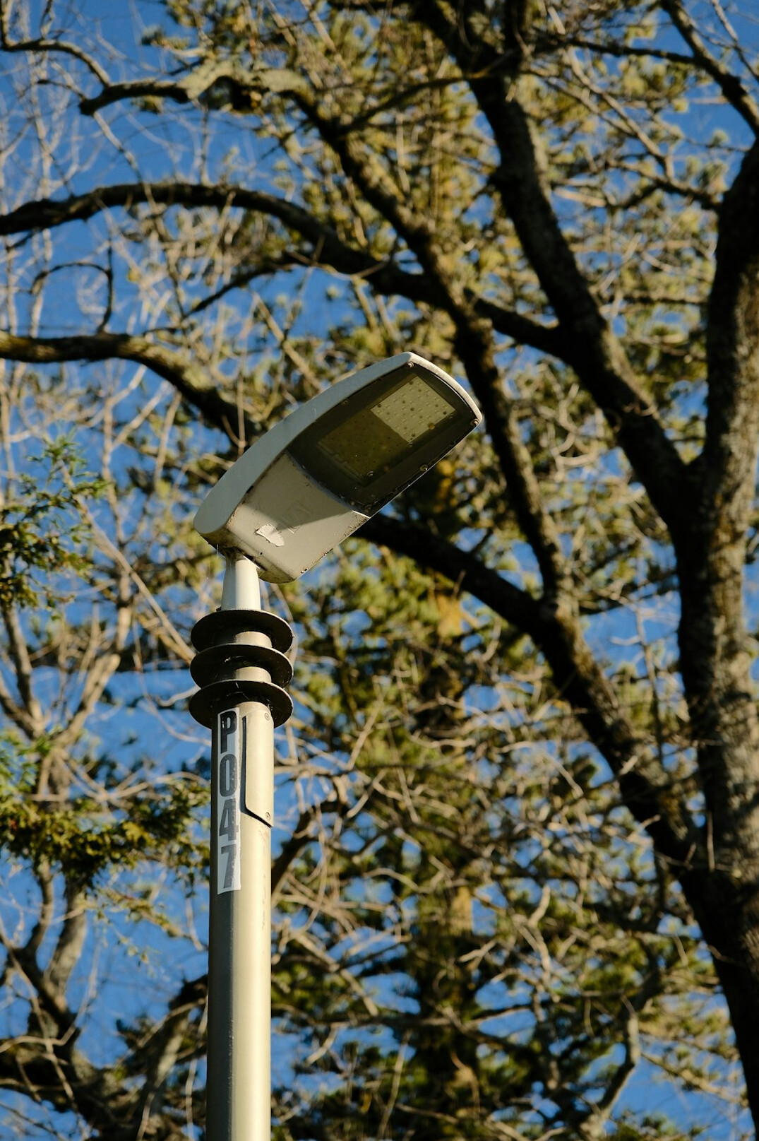 concepcion urban park